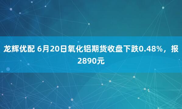 龙辉优配 6月20日氧化铝期货收盘下跌0.48%，报2890元